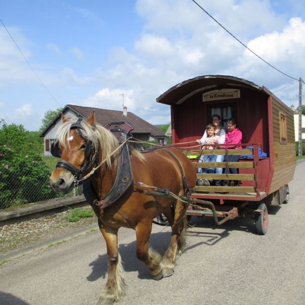 Planwagen-Urlaub in den Vogesen - Frankreich