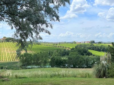 Weingut Toskana Italien Natur