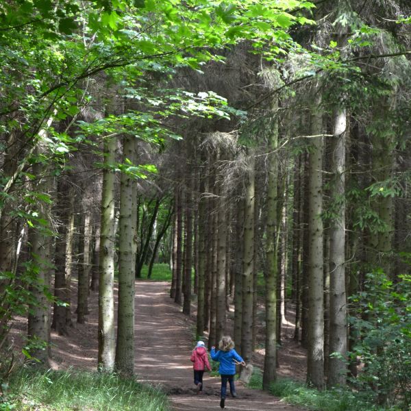 Familienurlaub auf der Ostseeinsel Bornholm  Dnemark