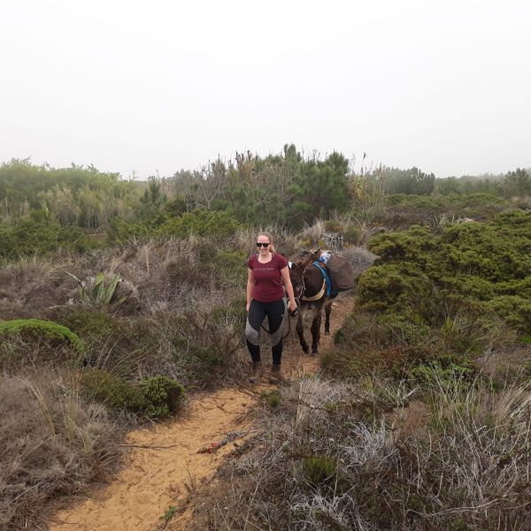 Eselwandern an der Algarve: Steilksten, Sandstrnde und wildes Hinterland - Portugal