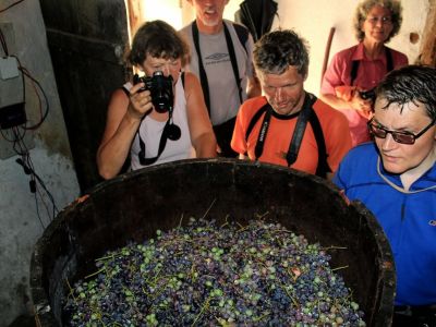 Albanien Weintrauben Wanderer
