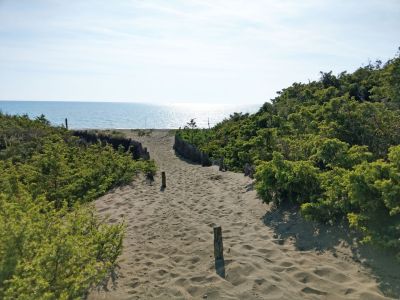 Etappenwanderung von Florenz zum Mittelmeer