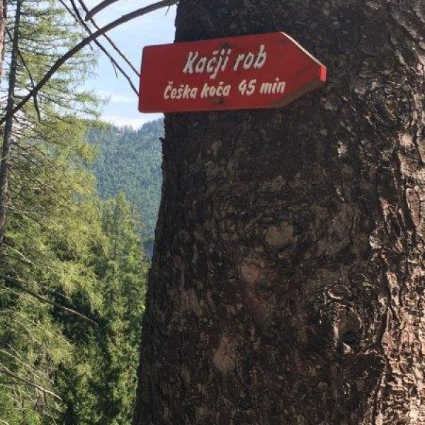 Urlaub auf dem Bio-Bauernhof im Herzen der Steiner Alpen - Slowenien