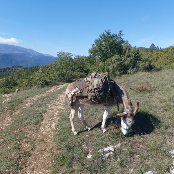 Eselwandern in den Abruzzen: Trekking-Abenteuer in Italien