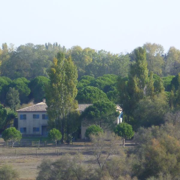 Familienurlaub im Landhaus Mas Fonrouge - Camargue/Sdfrankreich