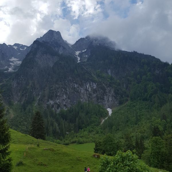 Bio-Urlaub im Thierseetal - Tirol - sterreich