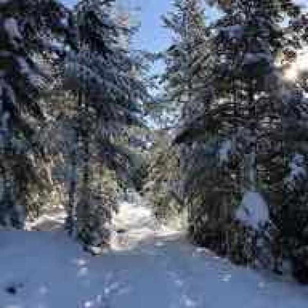 Tirol single mit kind