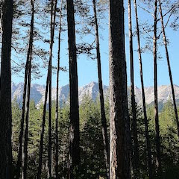 Tirol single mit kind