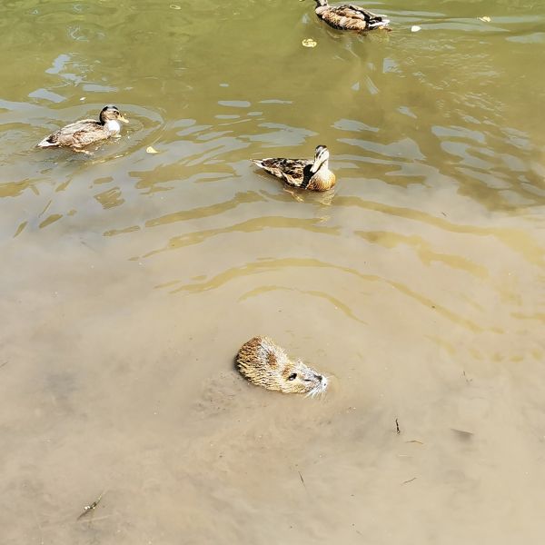 Familiencamp im Naheland - Aktivurlaub in Rheinland-Pfalz