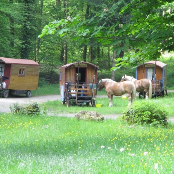 Planwagen-Urlaub in den Vogesen - Frankreich