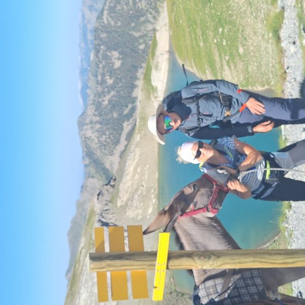 Eselwandern in Frankreich - Provence -  S�dalpen