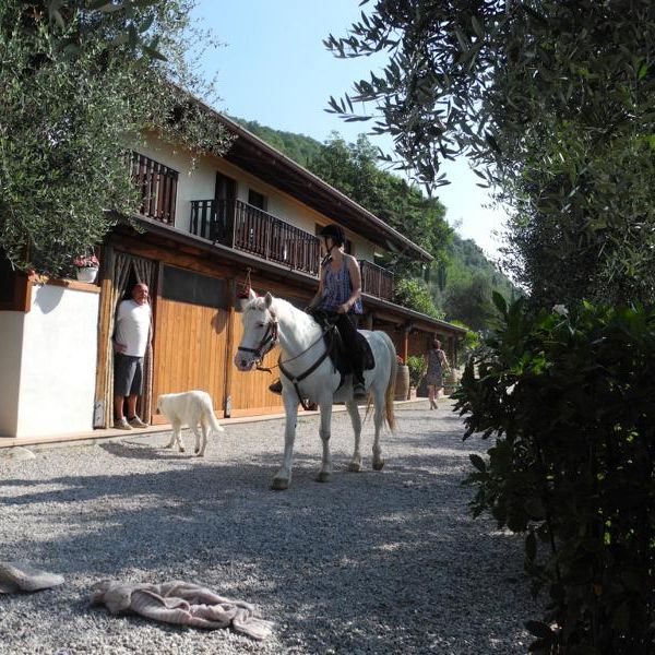 Gardasee: Urlaub auf dem Reiterhof - Italien