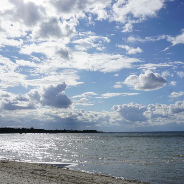 Familienurlaub auf dem Bauernhof auf land - Schweden