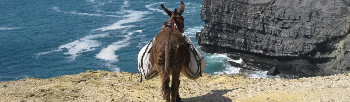 Wanderwoche mit Gepcktransport durch Esel an der Algarve Costa Vicentina Portugal