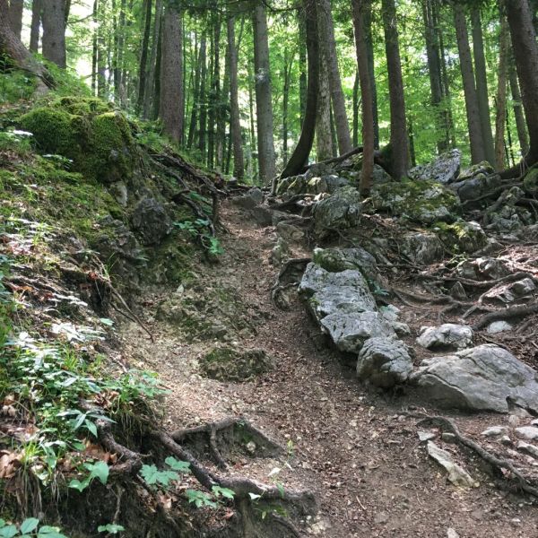 Yogaurlaub in den Alpen - Chiemgau / Bayern