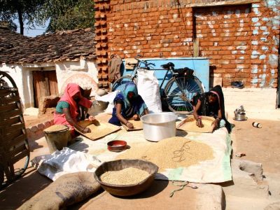 Bio-Rundreise Indien alternativ Gruppenreise ReNatour