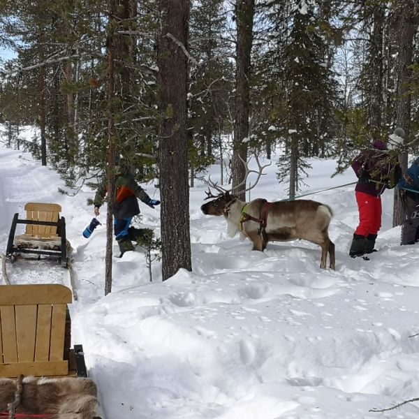 Familienurlaub in Schwedens Lappland - Winterabenteuer am Polarkreis