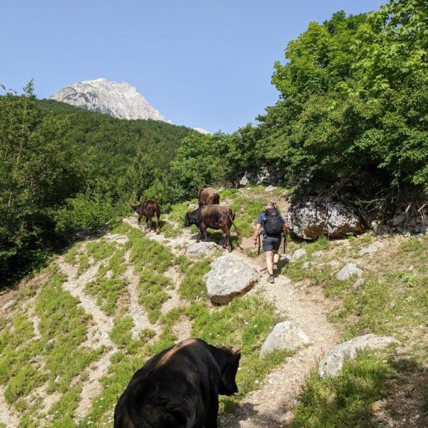 Bergwandern in den Albanischen Alpen 