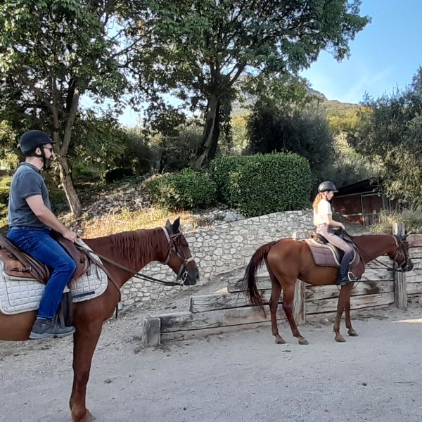 Gardasee: Urlaub auf dem Reiterhof - Italien