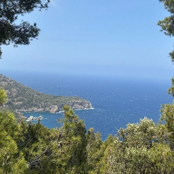 Finca-Wandern auf Mallorca