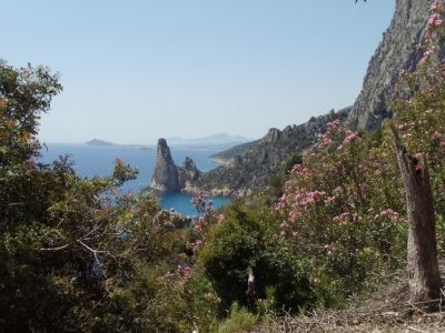 Kstenblick Blumen Landschaft