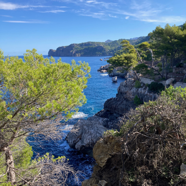 Finca-Wandern auf Mallorca