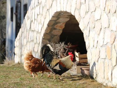 ko-Hof in Jezersko slowenische Alpen Slowenien Balkan