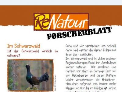 Zeitreise: 2012 - Biodiversitt all inclusive