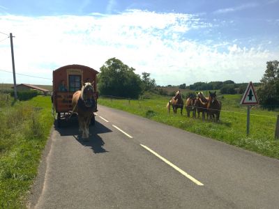 Mit Kindern unterwegs in Frankreich mit Planwagen