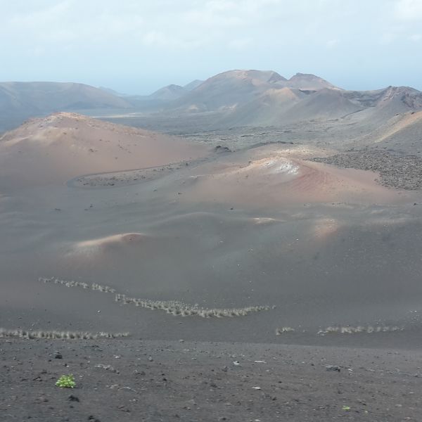 Vulkane, Sandstrnde & Meer: Familienurlaub auf Lanzarote