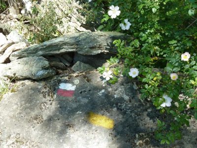 Der Wanderweg geht zumeist entlang der gelben Markierung