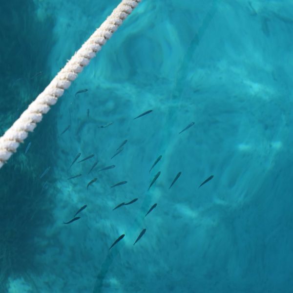 Segelurlaub in Kroatien mit Kindern (ab Split)