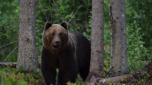 Familienreise Naturreise mit Kindern Estland