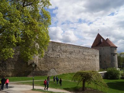 Burgmauer Burgen Estlands Tallin Städtetour