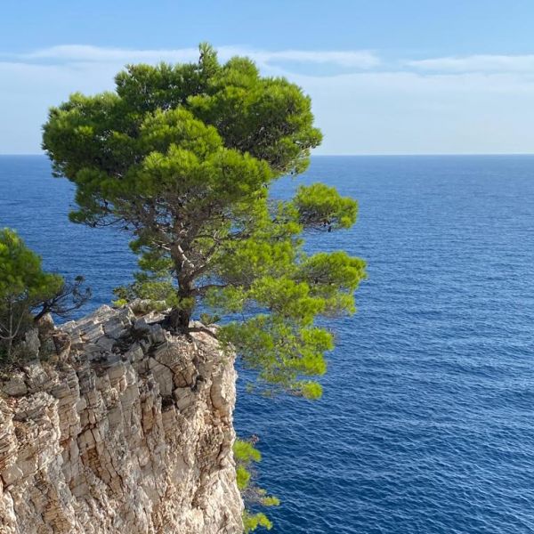 Segeltrn und  Insel-Wandern in Kroatien