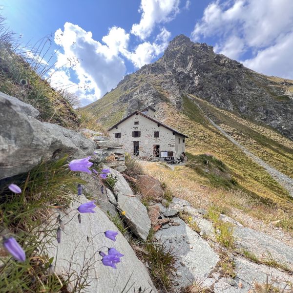 Bergwandern in den Alpen: vom Valle del Lys ins Valsesia - Italien