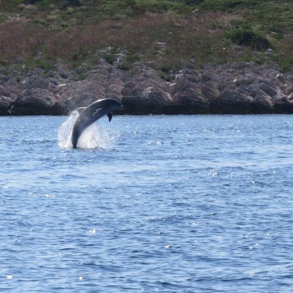 Segelurlaub fr Familien mit Teenagern in Kroatien (ab Zadar)
