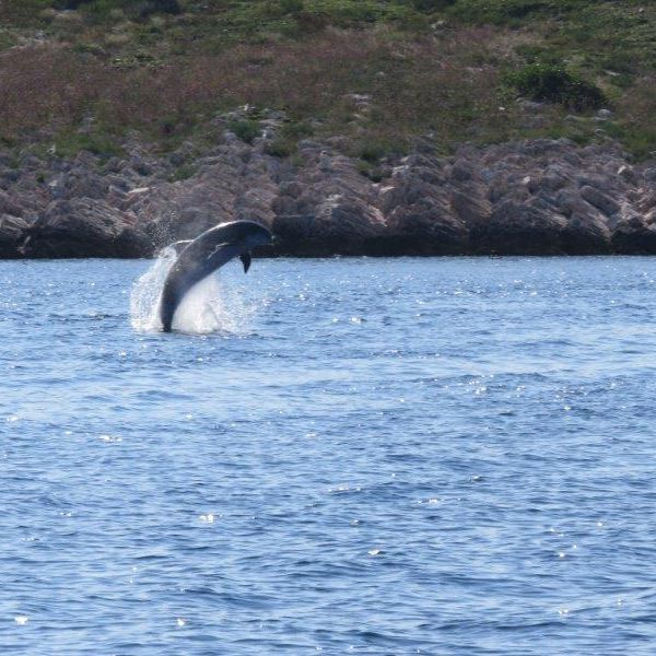 Segeln fr Familien mit Teenagern in Kroatien (ab Zadar)