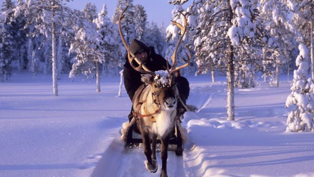 Winterurlaub im Wildnisdorf in Lappland