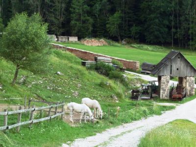 Reiterhof Reitferien Reiterurlaub Alpen Slowenien