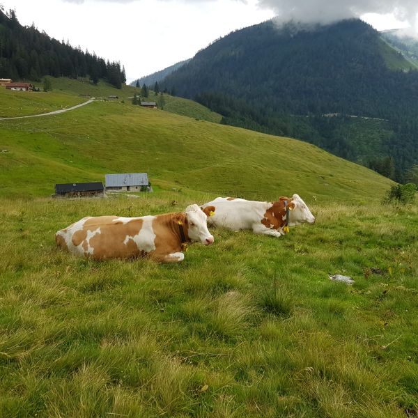 sterreich: Httenwanderung fr Familien im Salzkammergut