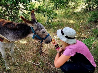 eselwandern italien snack fuer den esel