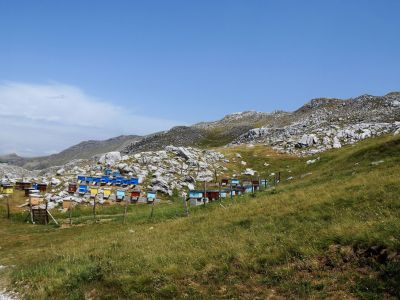 alm wanderung sommer ohne gepck montenegro