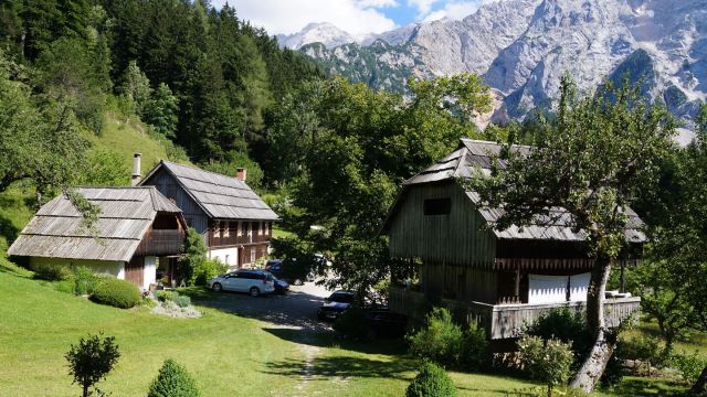 Urlaub auf dem Öko Bauernhof Makek in den slowenischen Alpen 
