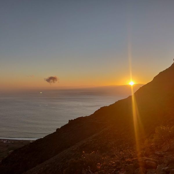 Delfin- und Walbeobachtungswoche (Whale Watching) auf La Gomera