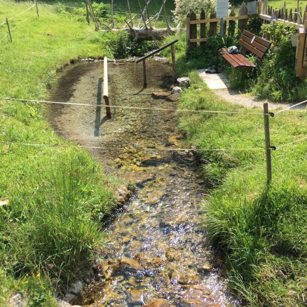 Yogaurlaub in den Alpen - Chiemgau / Bayern