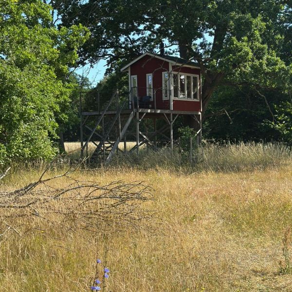 Familienurlaub auf dem Bauernhof auf land - Schweden