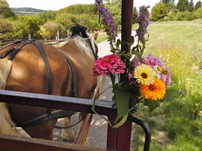 Sommerurlaub im Planwagen mit Feldblumen beschmckt