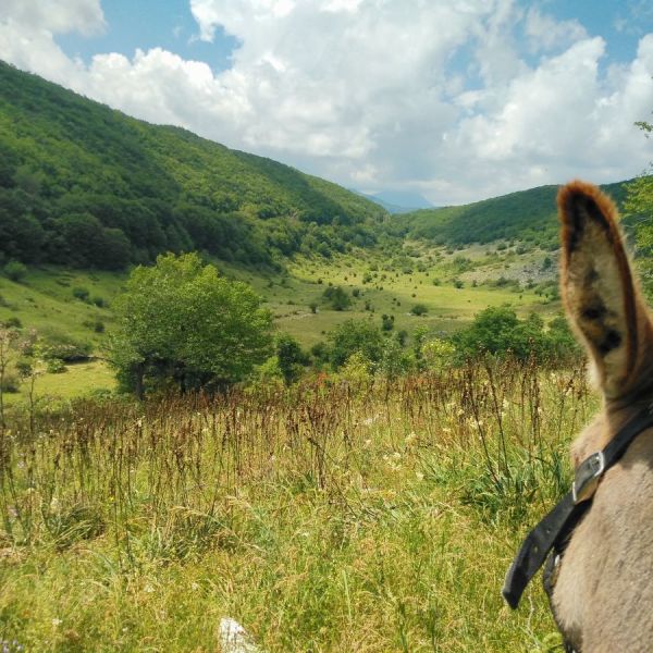 Eselwandern in den Abruzzen: Trekking-Abenteuer in Italien