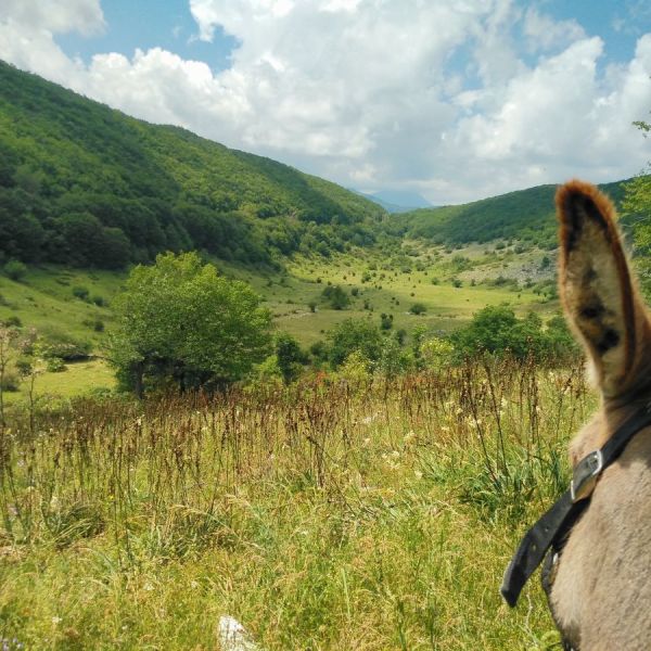 Eselwandern in den Abruzzen - Eselwanderung Italien